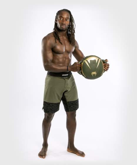 VENUM PRO BOXING Mini Pajzs, Khaki/Arany